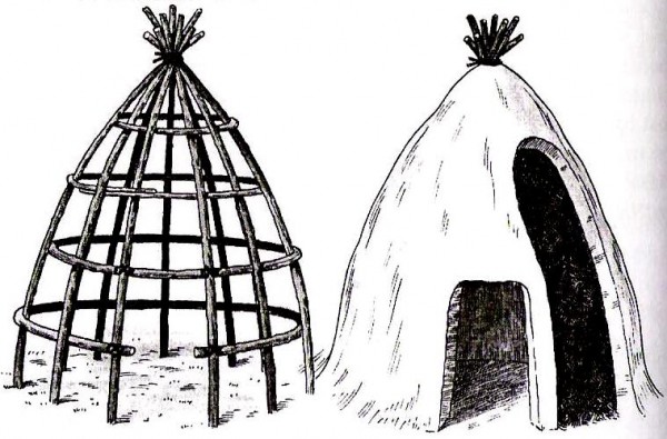 Polr psteky0003