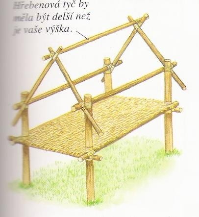 Kopie (4) - Psteek 1 - Tro