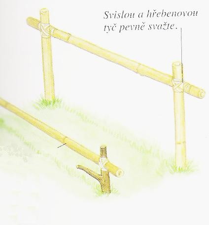 Kopie - Psteek 1 - Tropy00